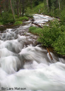 Mountain Stream