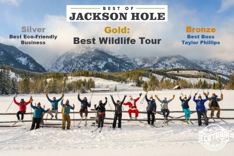 2021 Best of Jackson Hole Best Wildlife Tour