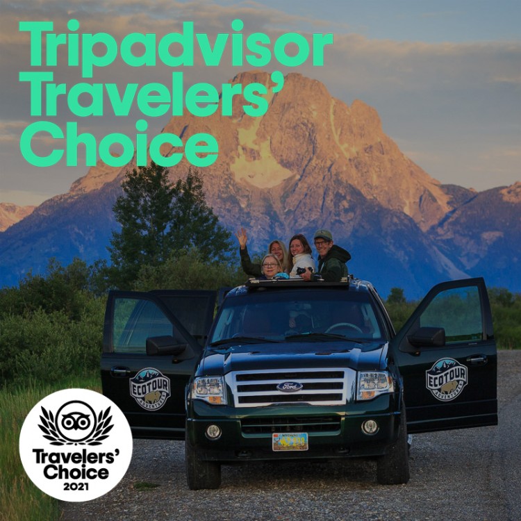 Tripadvisor Travelers Choice Award