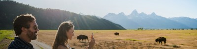 Sunrise Guided Wildlife Tour in Grand Teton National Park