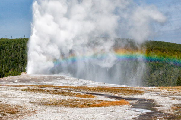 Yellowstone guided tours from Jackson Hole